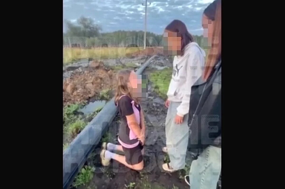    Прокуратура проверят факт буллинга старшеклассниц над девочкой в Башкирии