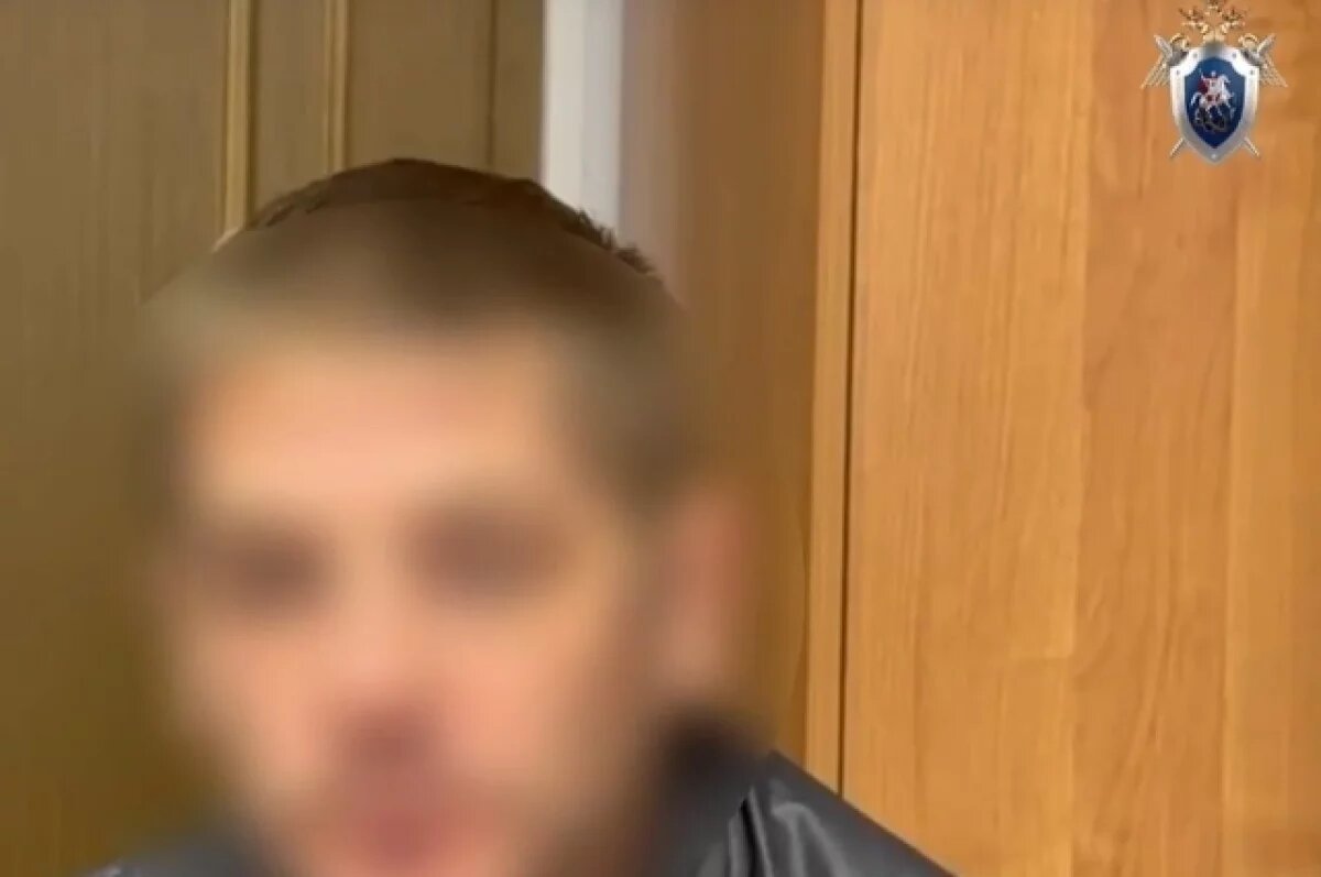    Суд приговорил петербуржца за попытку убить своего пасынка по пьяни