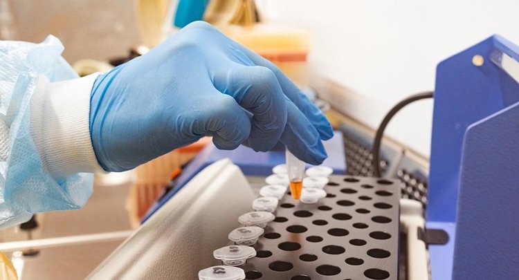    Фото: ФГБУ ЦОК АПК