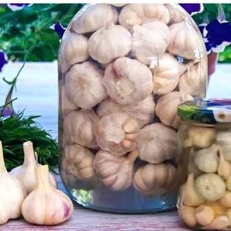 Маринованный чеснок 