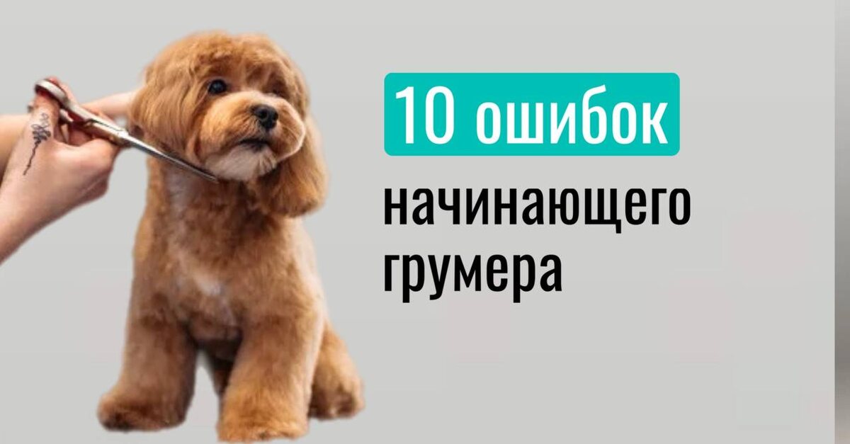 Ошибки грумера на старте