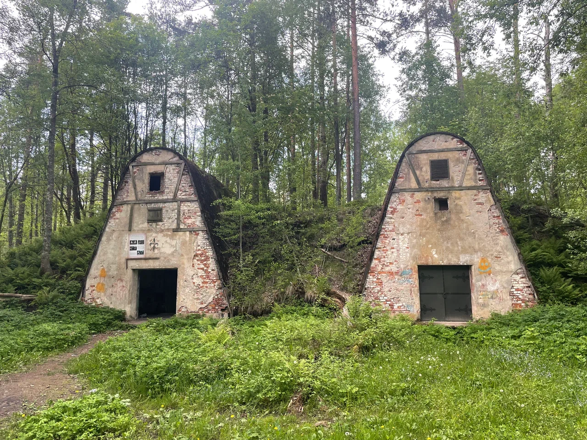 Финские овальные погреба (май 2025)