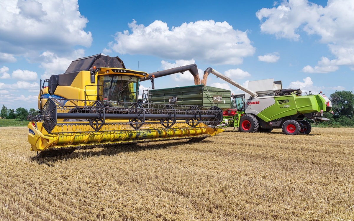    Предприятия «Продимекса» убрали больше 90% площадей озимой пшеницы Фото – ГК «Продимекс»