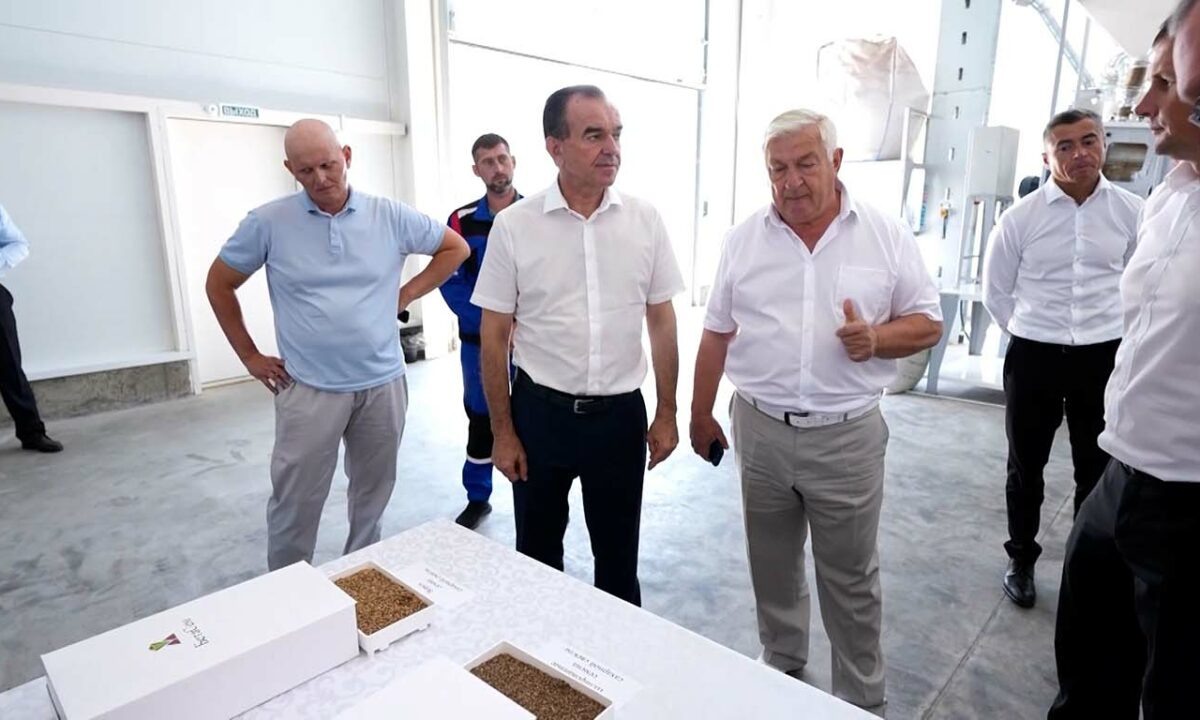    Видео канала «Кубань 24»