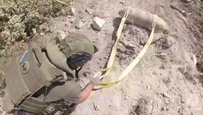 Иллюстрация: ГУ МЧС по РО