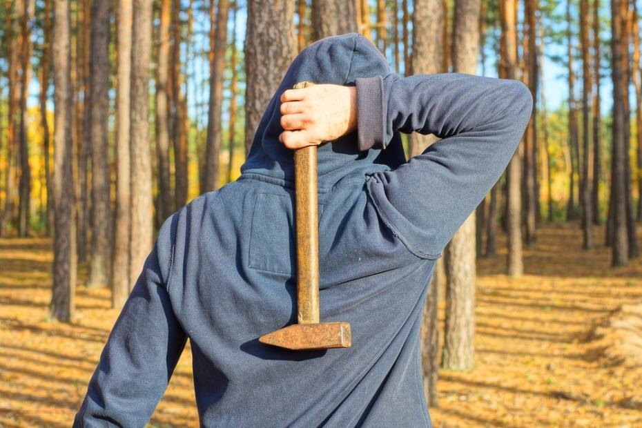    Shutterstock/FOTODOM