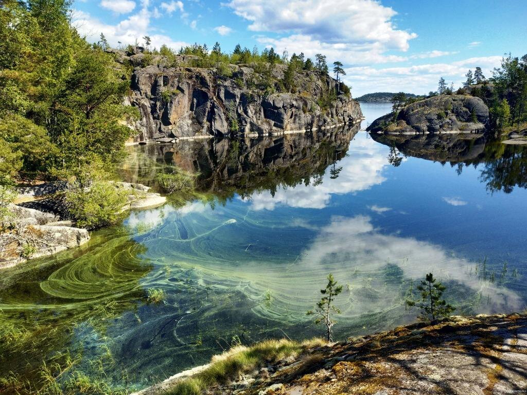 фото из интернета