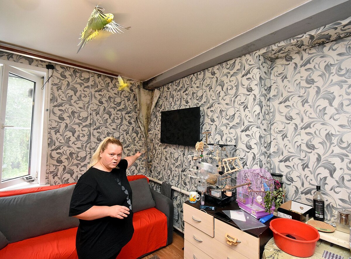 Грибок на стенах стал, к сожалению, привычным элементом «дизайна»  📷
