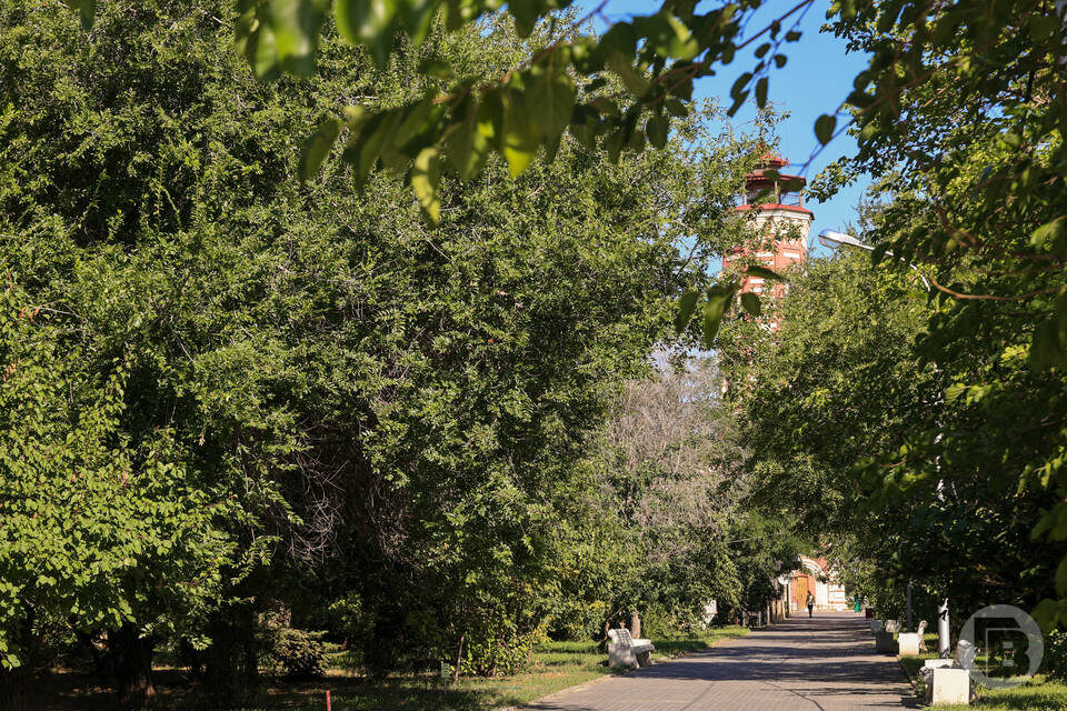    Фото: Дмитрий Рогулин / "Городские вести"
