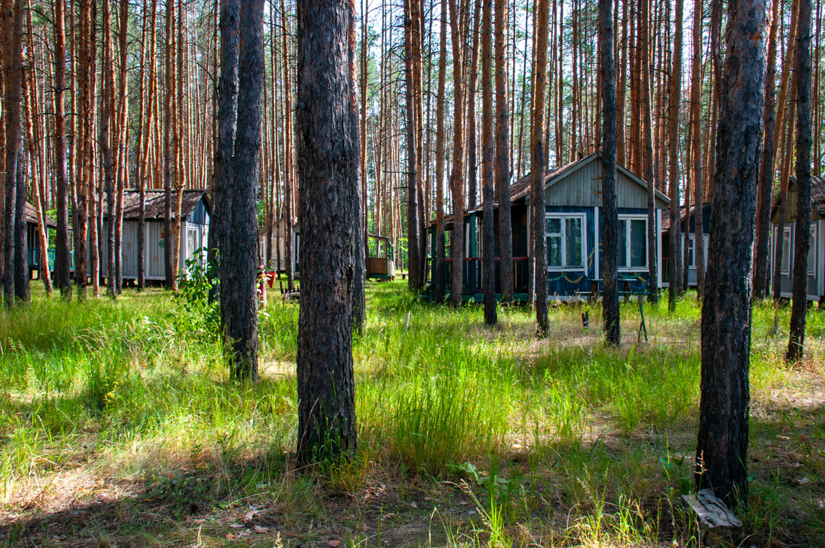 Симптомы заражения появляются в августе и сентябре.  Фото: Фото: ФедералПресс / Светлана Возмилова