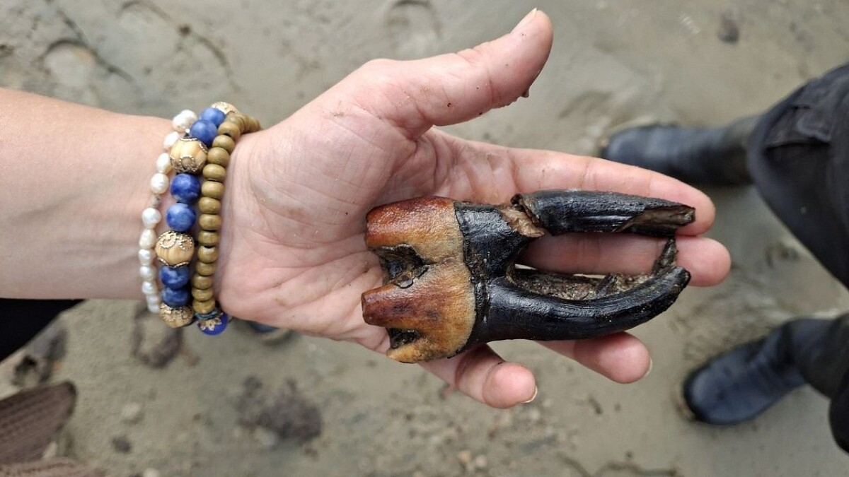    Фото: Вячеслав Карманов