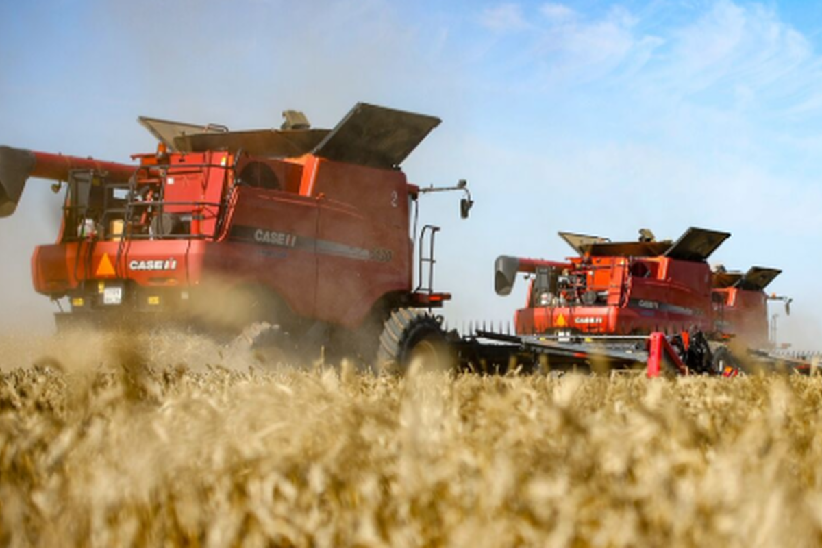    Фото: Кирилл Брага, источник: ria.ru