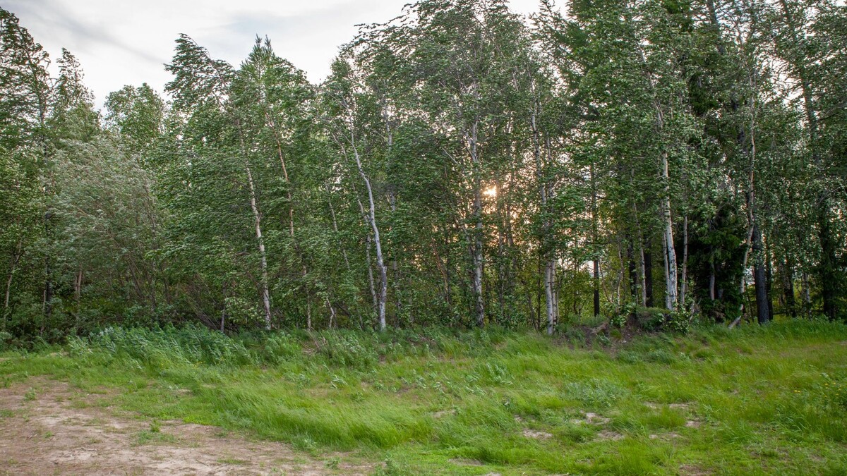    Фото: Сергей Уфимцев / "Ямал-Медиа"