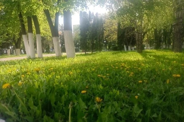    Будут ли в ещё этом году тёплые дни в Пензе?