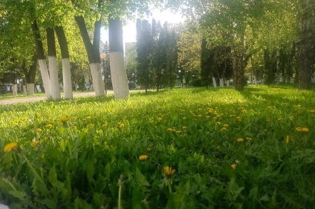    Фото: АиФ/ Малышева Надежда