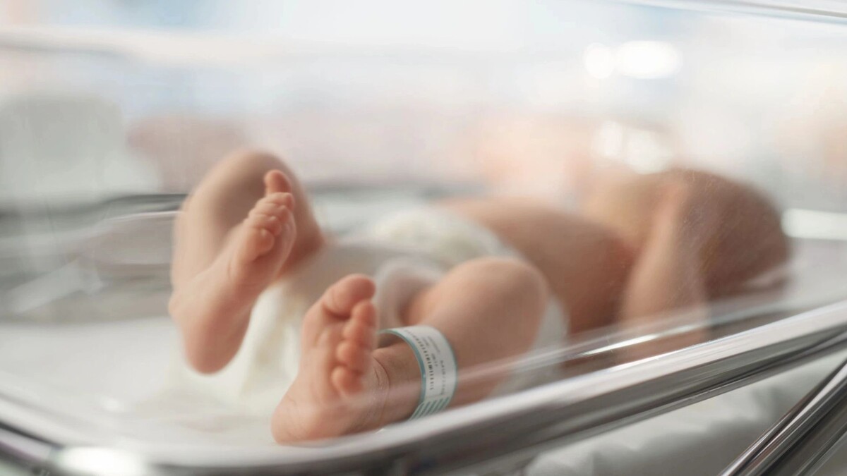    Фото: Gorodenkoff/Shutterstock/Fotodom