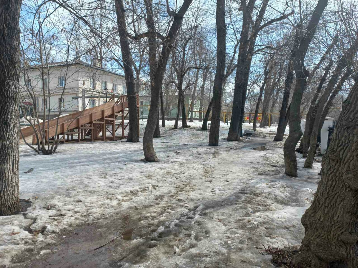 Фото автора.
