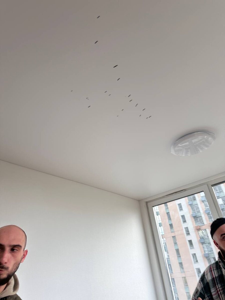 ДВРЯВЫЙ ПОТОЛОК