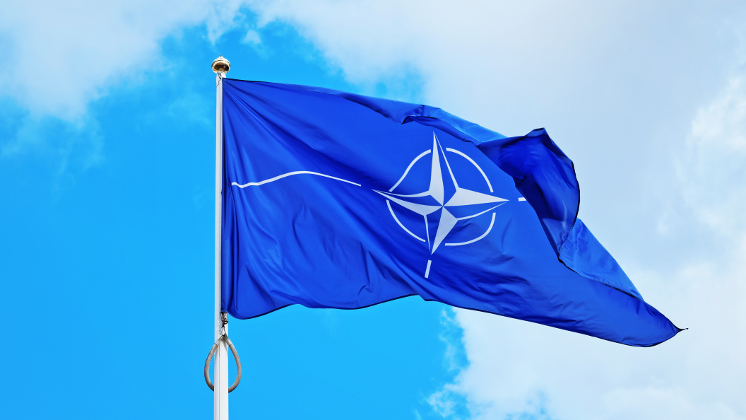    Фото: Roman Babakin/shutterstock