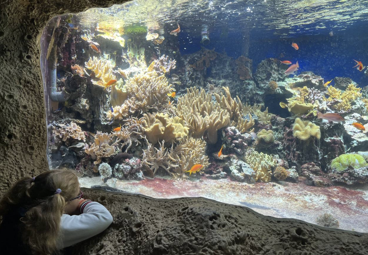 Какая красотища