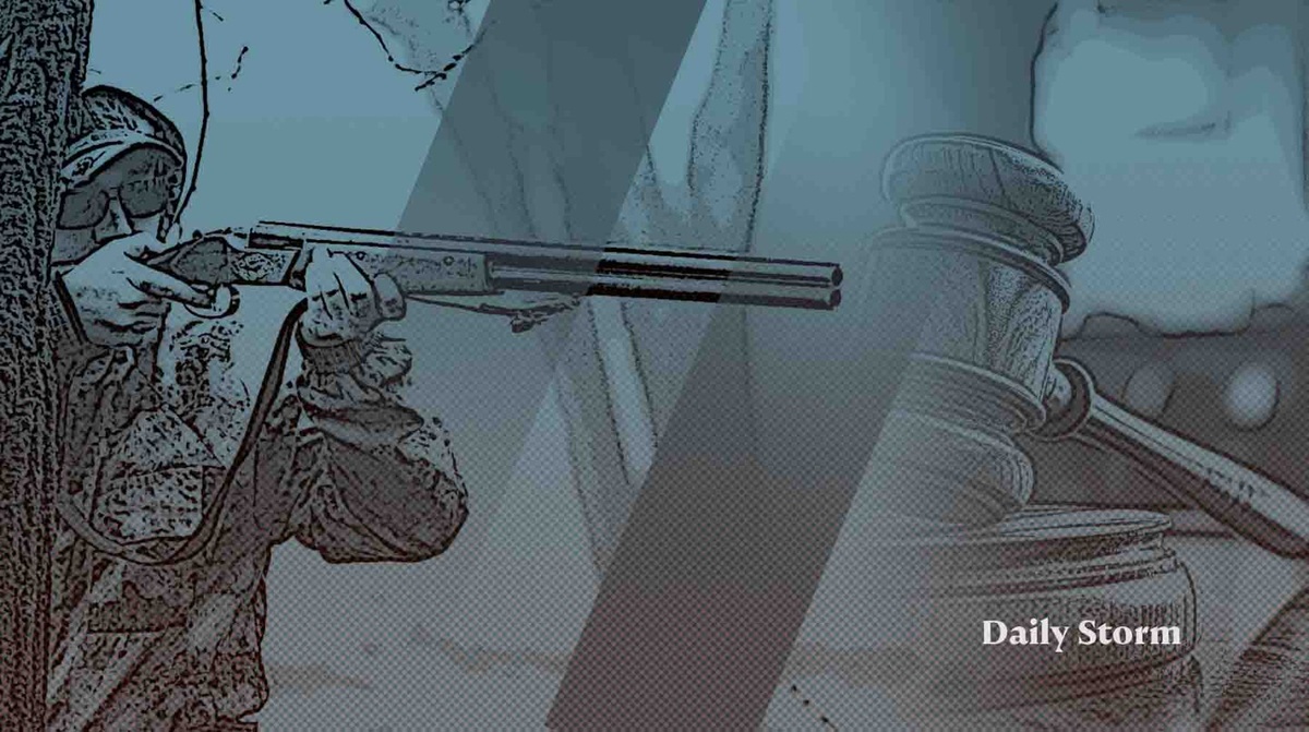    Коллаж: Daily Storm