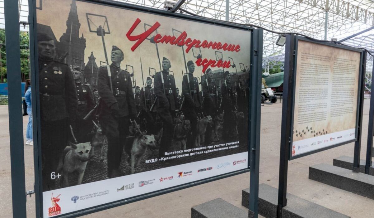     Выставка «Четвероногие герои» в Музее «Г.О.Р.А.» Источник: victorymuseum.ru Автор фото: Пресс-служба Музея Победы