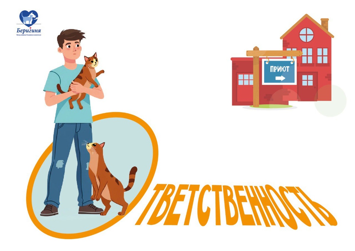 #берегиня_котята