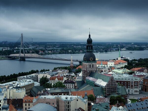    © flickr.com / gato-gato-gato