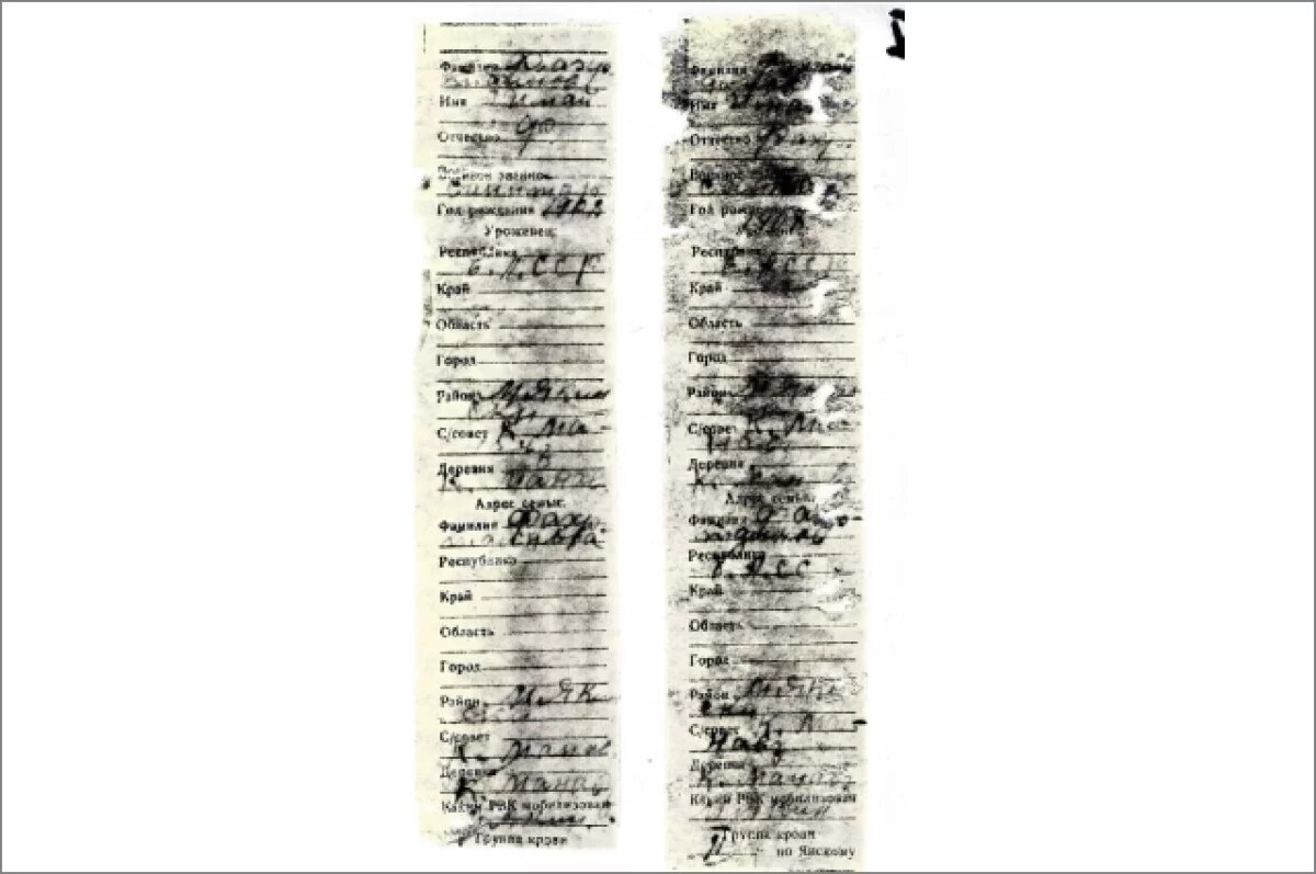    Тверские поисковики смогли узнать имена трех бойцов ВОВ