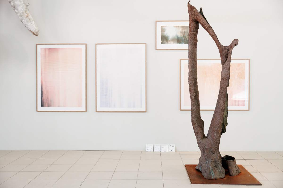 Фото: Екатерина Белозерова