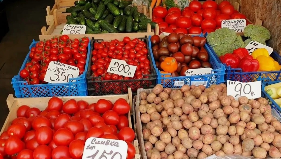    Фото автора Дзен-канала "51 Меридиан"