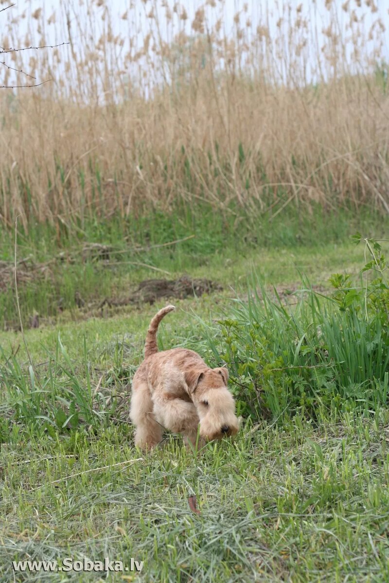 -А кто у нас в норке сидит?