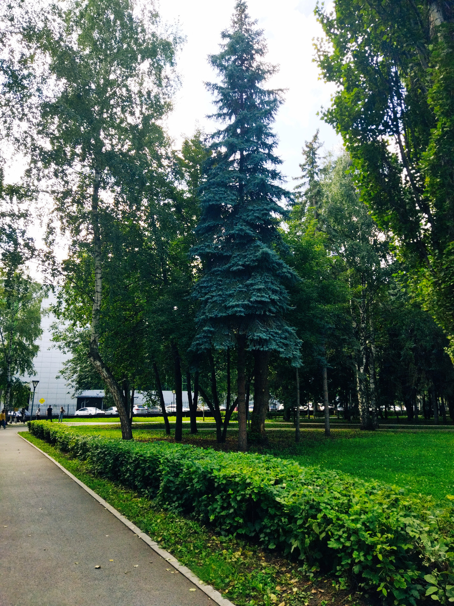 Фото автора