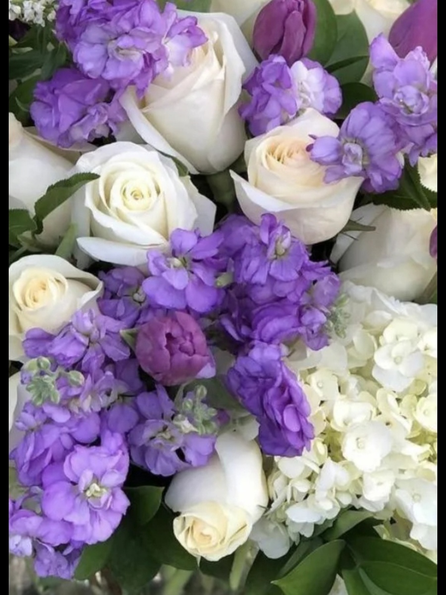 🌸🌸🌸🌸🌸🌸🌸🌸🌸🌸🌸🌸🌸🌸🌸🌸🌸