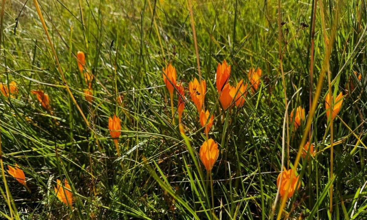    Фото t.me/kavkazzapoved