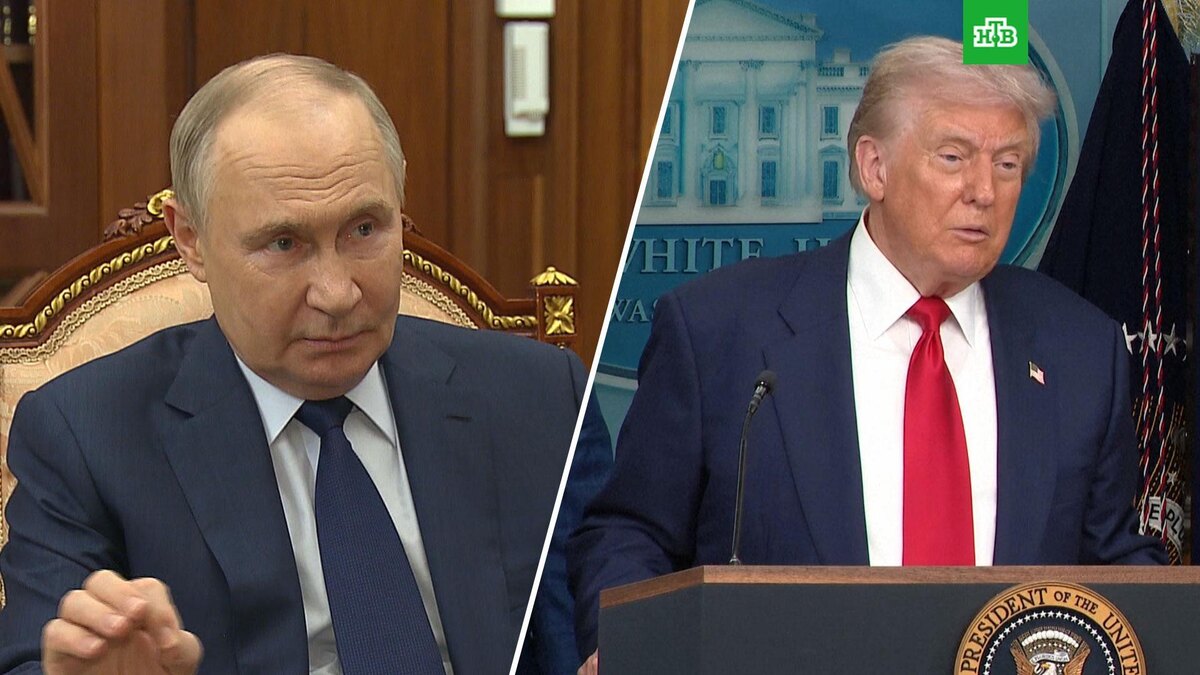    Минобороны: Киев готовится сорвать переговоры Путина и Трампа