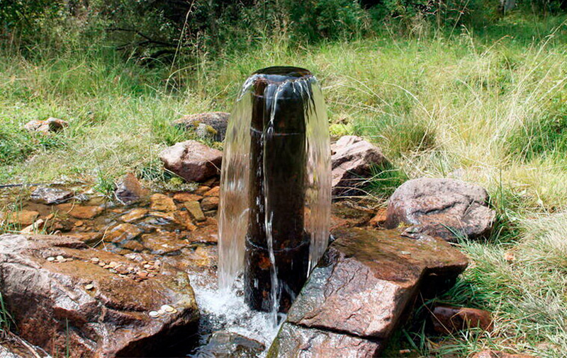 Фото с сайта yandex.net