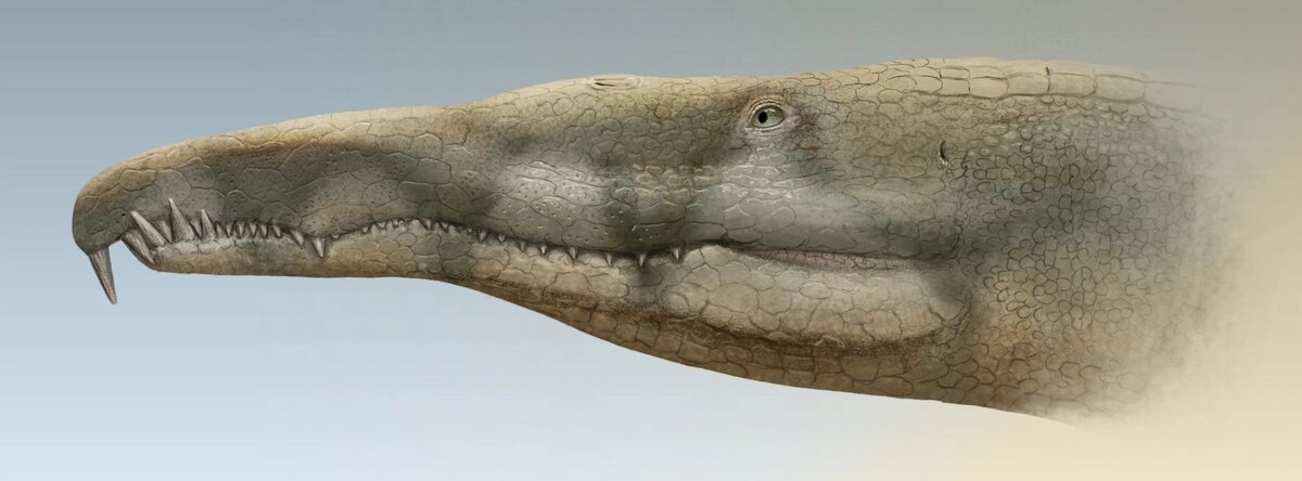 Смилозух, арт от Литералли Мигуэл.