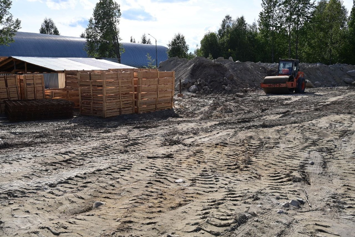 Листайте вправо, чтобы увидеть больше изображений