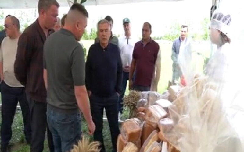    скриншот из видео