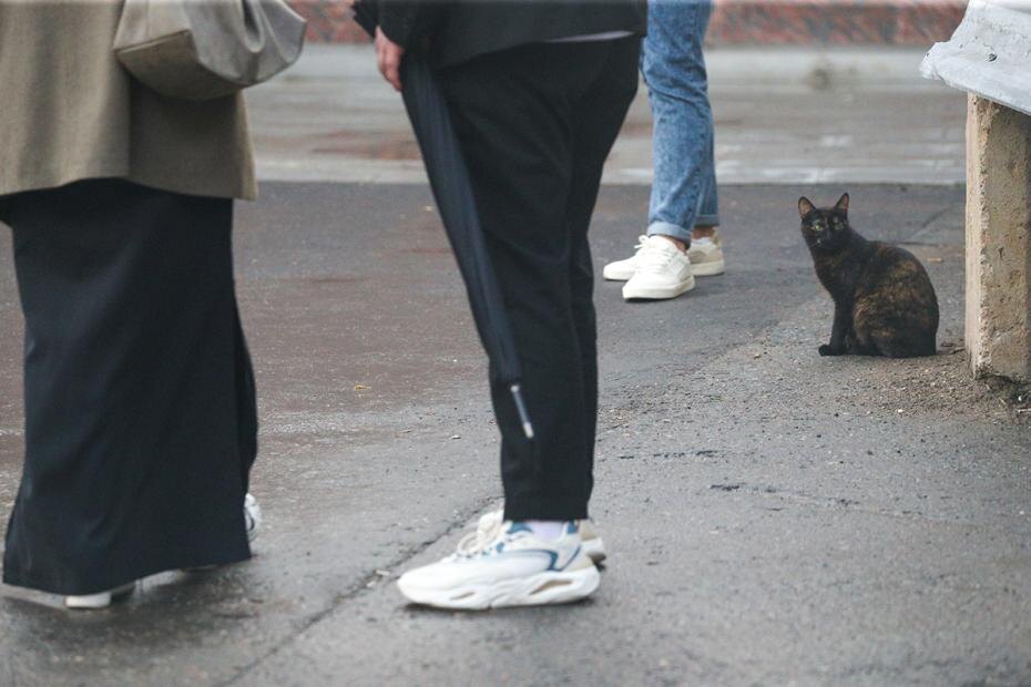    Сергей Булкин/NEWS.ru