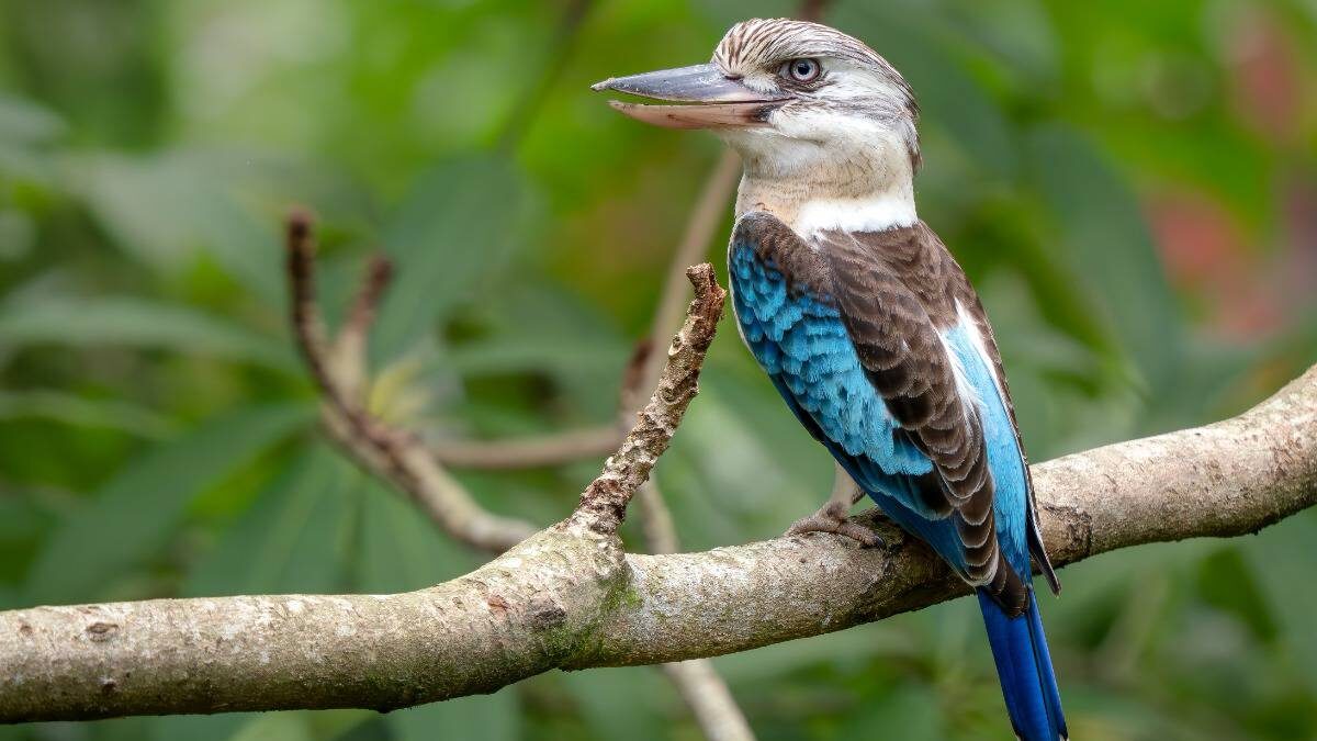    Фото: Shutterstock