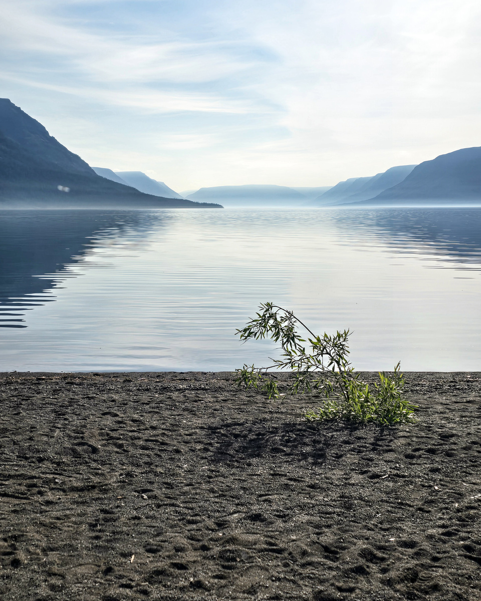 Утро в лагере