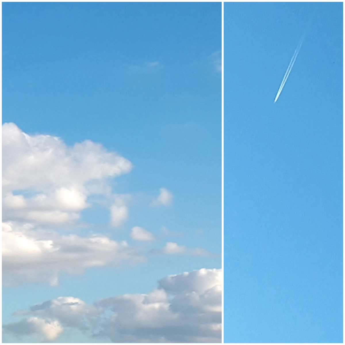 Коллаж автора 15.08.2025г.