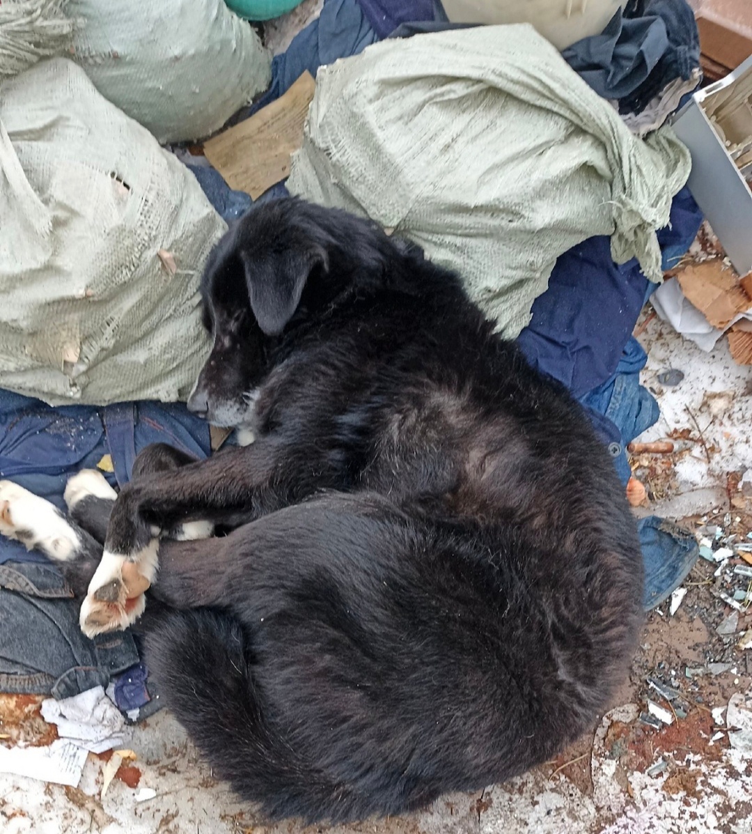 И спала как  человек.. без определенного места жительства 