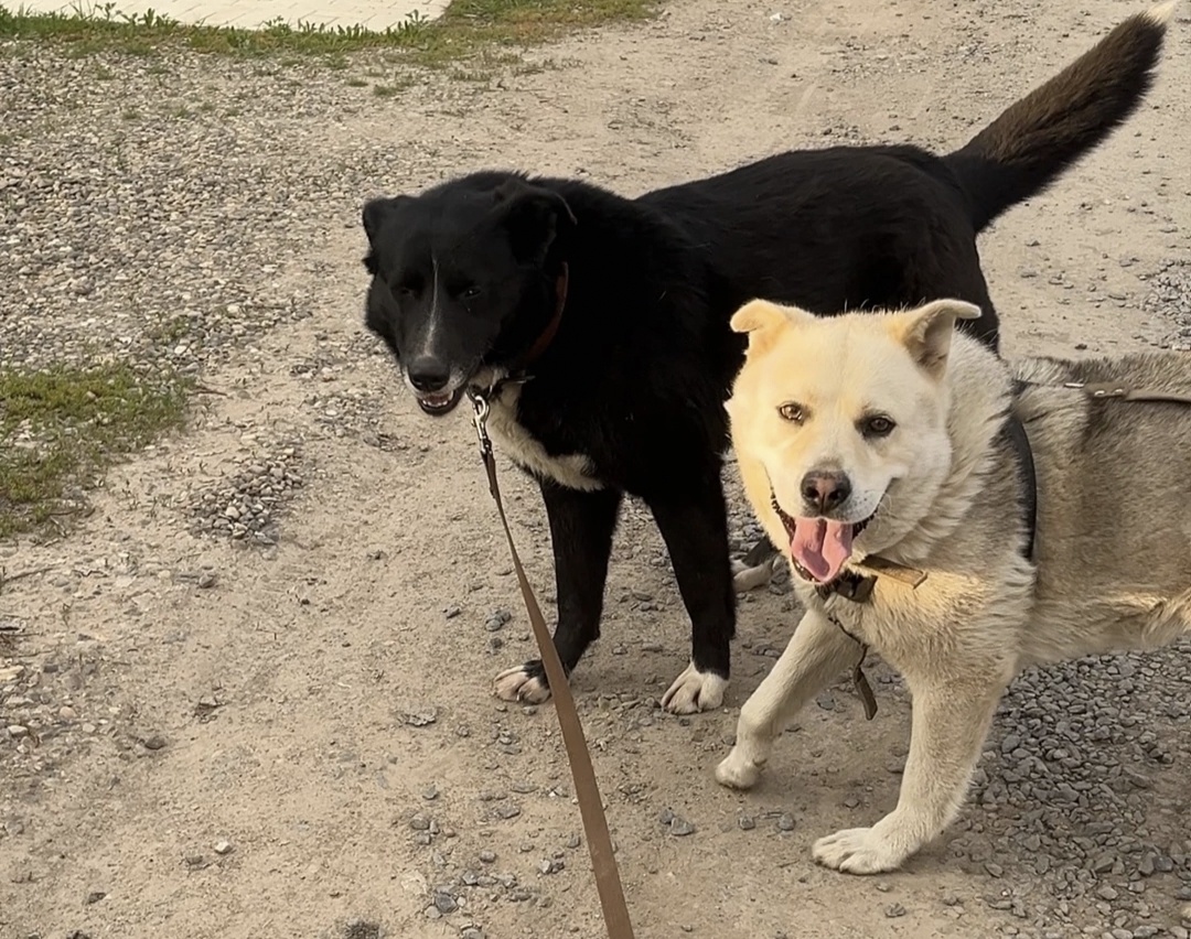 Василиса с сердечным другом Дружком 