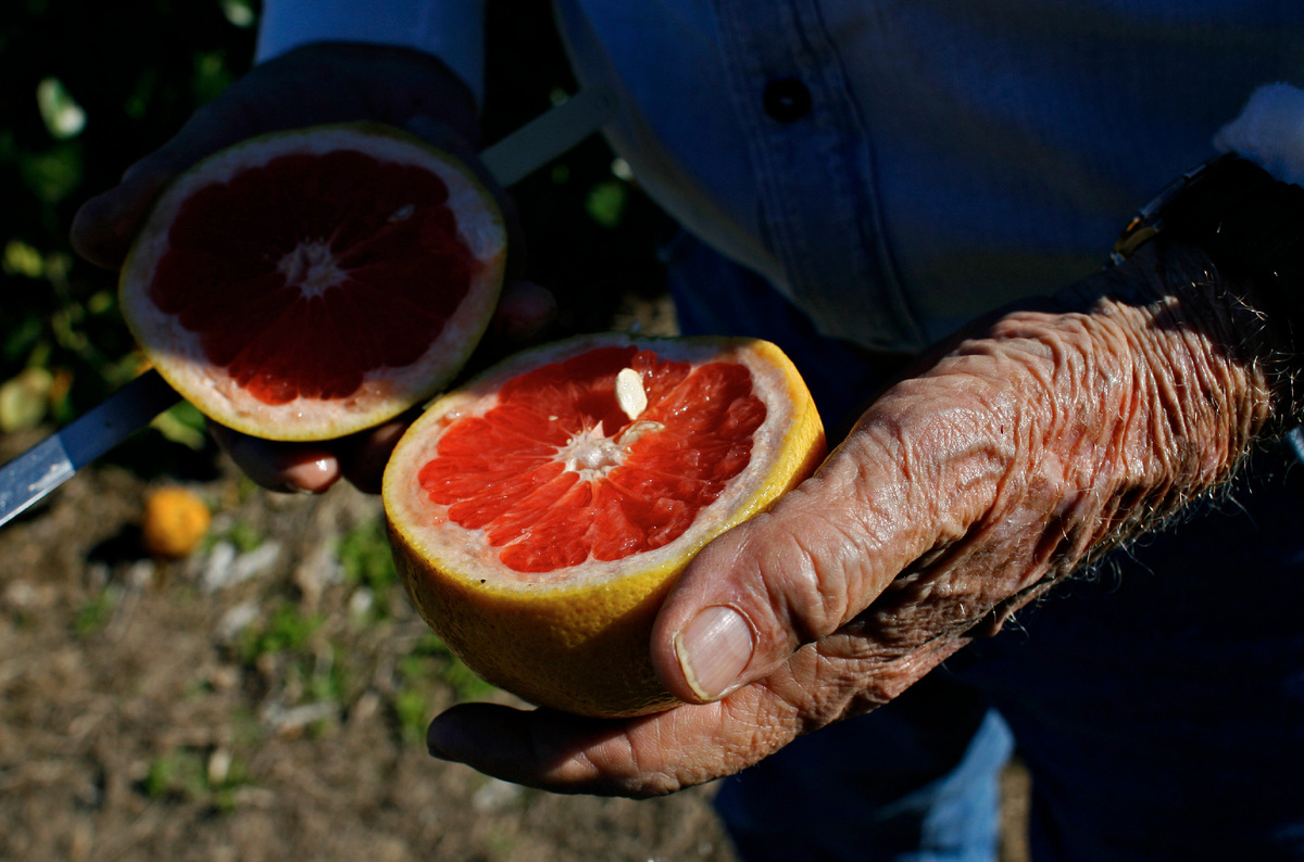 Фото: © Wallace, Daniel/ ZUMAPRESS.com/ Global Look Press