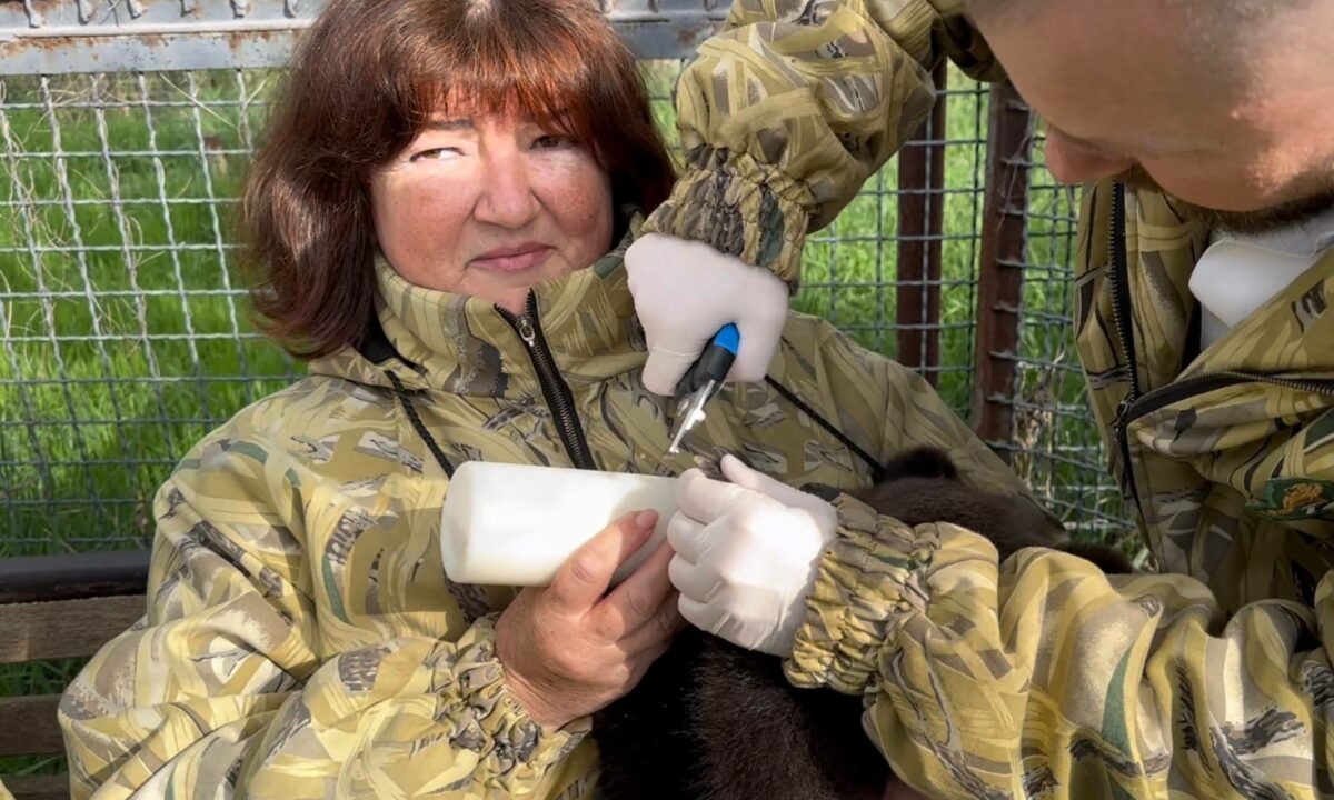    Татьяна Алексагина, фото t.me/Doktor_Vasiliy