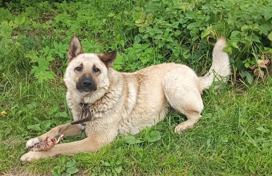 Чтобы его сфотографировать на улице пришлось дать трахею