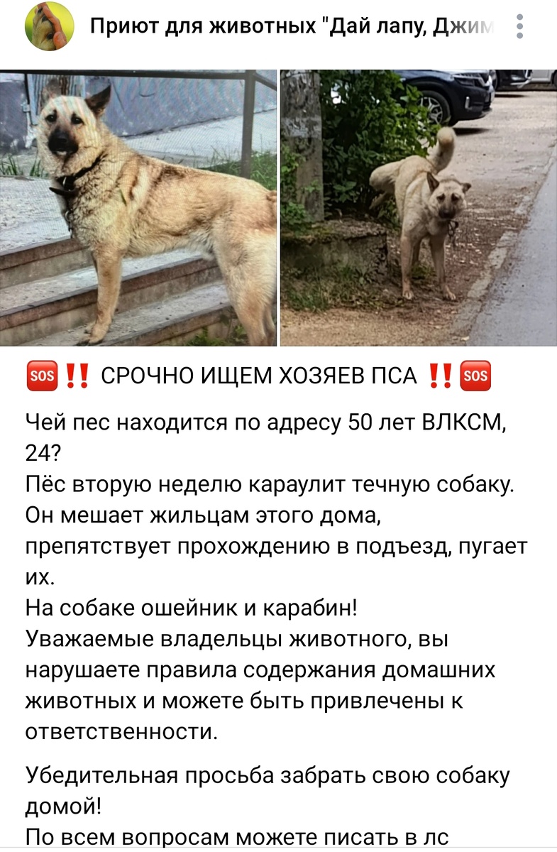 Скрин в группе